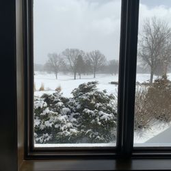 View of the course. In winter!!
