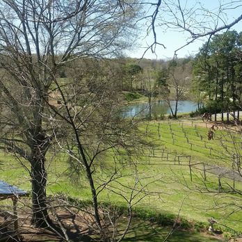 Treehouse Vineyards - Venues & Event Spaces Near Me - Monroe, North Carolina Treehouse Vineyards - Venues & Event Spaces Near Me - Monroe, North Carolina