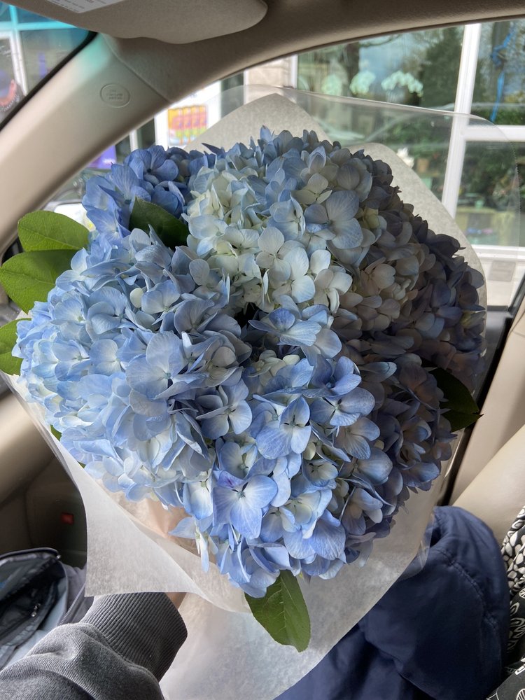 RIVERHEAD FLOWER SHOP Updated October 2024 75 Photos & 30 Reviews