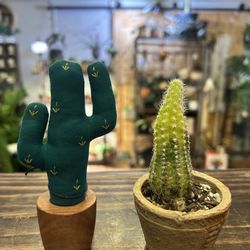 Plant Parlor