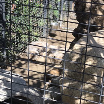 Wildlife Learning Center - Zoos Near Me - Sylmar, California