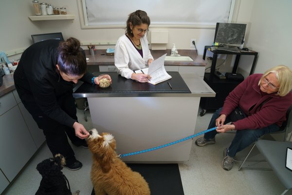 animal eye clinic of waterloo