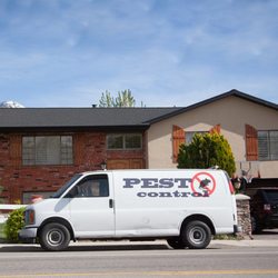 Alena Property Management - Pest control