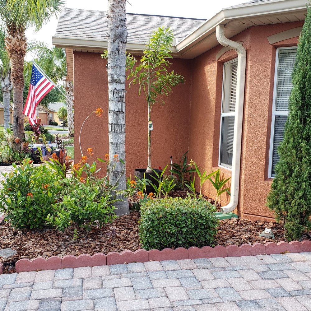 this is the BEFORE  ...  We removed the trees and bricked out the entire area with pavers