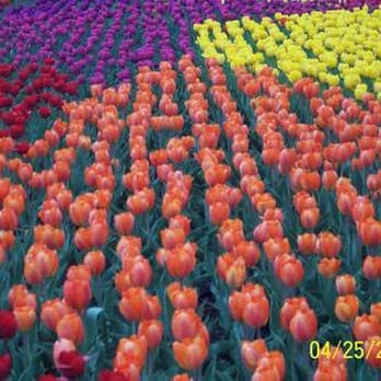 Lincoln Park Conservatory - Parks Near Me - Chicago, Illinois Lincoln Park Conservatory - Parks Near Me - Chicago, Illinois