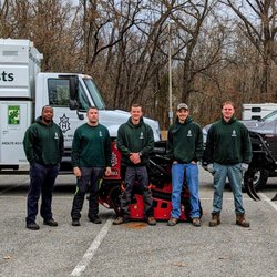 Green Holly Arborists