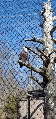 ESSEX COUNTY TURTLE BACK ZOO - Updated December 2024 - 1492 Photos