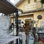 Photo of Dragonfly Shops and Gardens