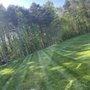 Photo of PureGreen Landscaping Services