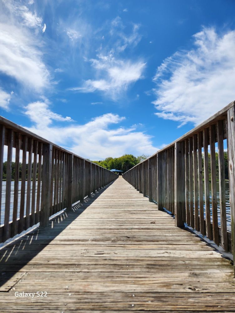 Reddie Point Preserve Image