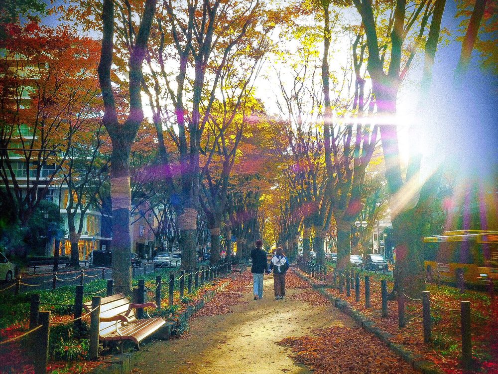 Jozenji Dori