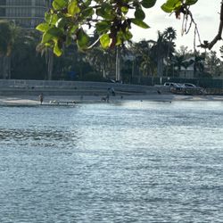 Sunset Dog Beach - Great place for your dogs to enjoy the beach and water.