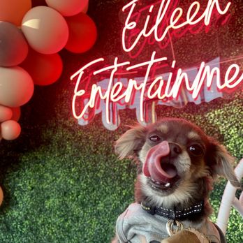 Eileen Entertainment - Photo area! - Florists Near Me - Las Vegas, Nevada Eileen Entertainment - Photo area! - Florists Near Me - Las Vegas, Nevada