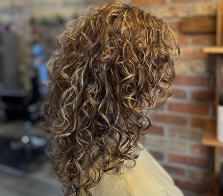Salon Halcyon by null