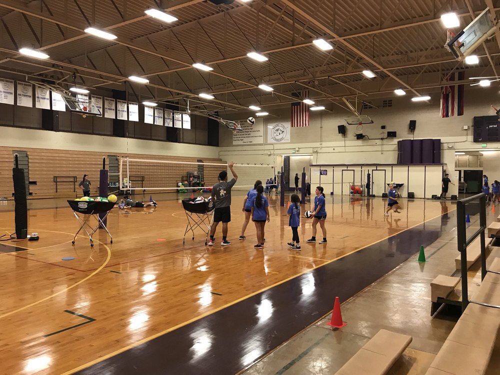 Lil' Spikers Volleyball Academy Logo