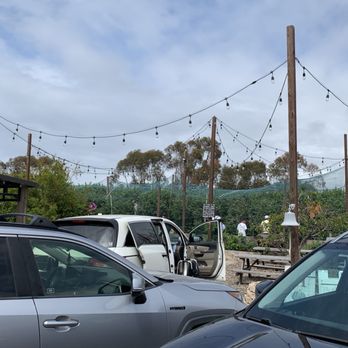 Lighthouse Community Garden - Blueberry patch under the netting - Farmers Market Near Me - Dana Point, California