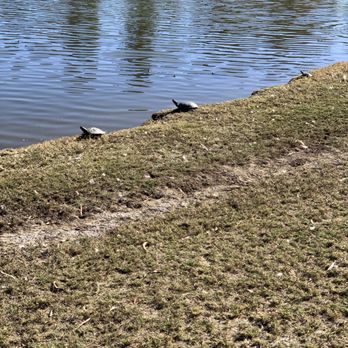 Libby Lake Park - Parks Near Me - Oceanside, California