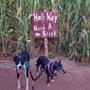 Photo of At'l Do Farms