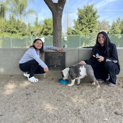 Flora Vista Dog Park - Stella the Bulldog had a blast .