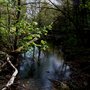 Photo of Hamsterley Forest
