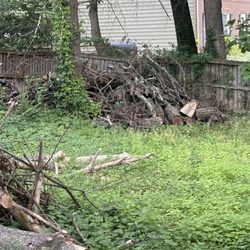 Domingo Tree & Landscaping Service