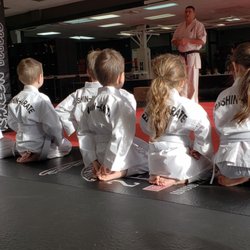 Enshin Karate