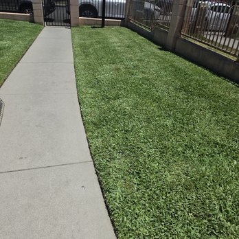 Triple D's Lawncare - Lawn Services Near Me Triple D's Lawncare - Lawn Services Near Me