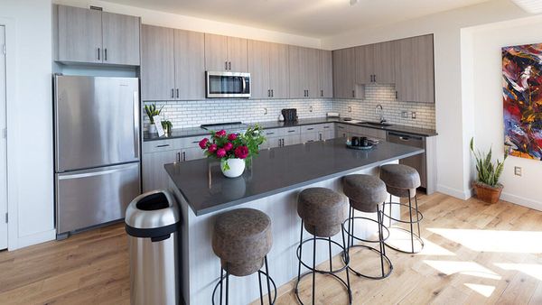 The Assembly by null