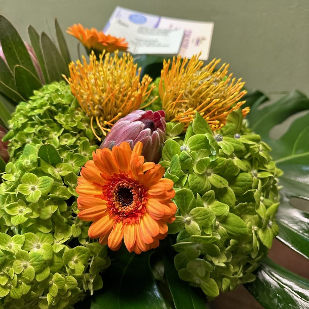 Central Florist - Florists Near Me - Alameda, California Central Florist - Florists Near Me - Alameda, California
