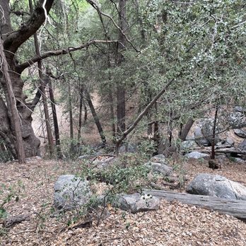 The Idyllwild Bunkhouse - Hotels Near Me - Idyllwild, California The Idyllwild Bunkhouse - Hotels Near Me - Idyllwild, California