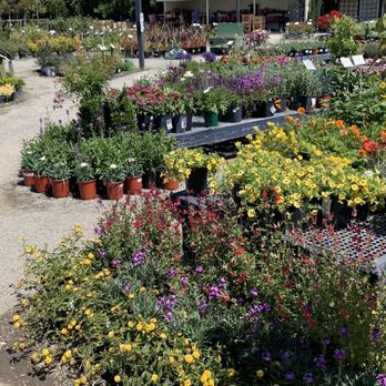 Regan Nursery - Nurseries & Gardening Near Me - Fremont, California Regan Nursery - Nurseries & Gardening Near Me - Fremont, California