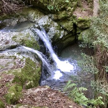 Matt Davis-Steep Ravine Loop - Steep Ravine trail. Best part of trail - Hiking Near Me - Stinson Beach, California Matt Davis-Steep Ravine Loop - Steep Ravine trail. Best part of trail - Hiking Near Me - Stinson Beach, California