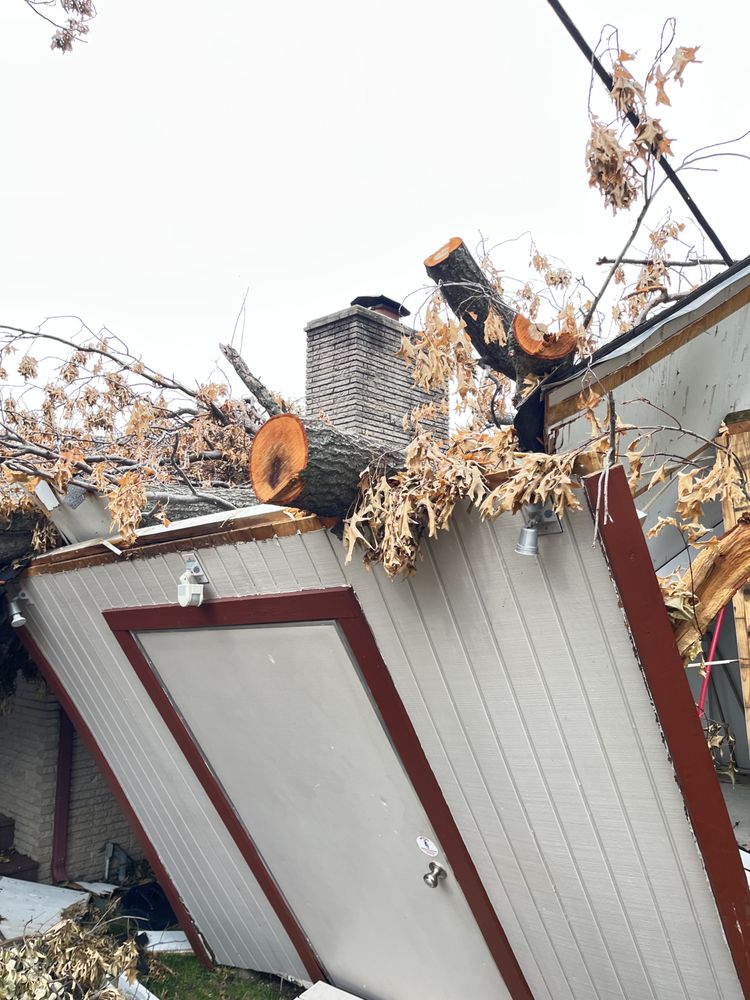 Loard Phillips Tree Service & Removal - tree service in Tulsa, OK