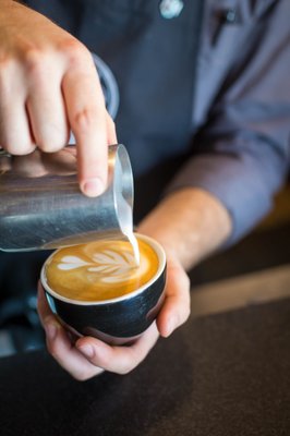 The Coffee Fox Roasting Co. by null