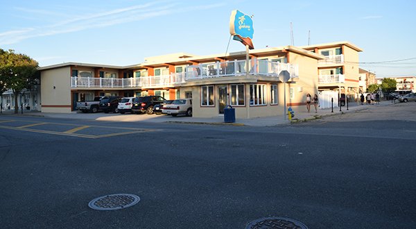 Seahorse Inn by null