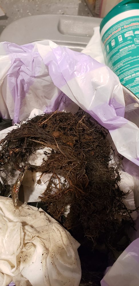 Slide of Roto-Rooter Plumbing & Water Cleanup