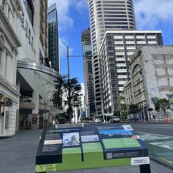 Auckland - 11/11/23 FYI, Local attractions