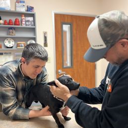 First Vet Visit
