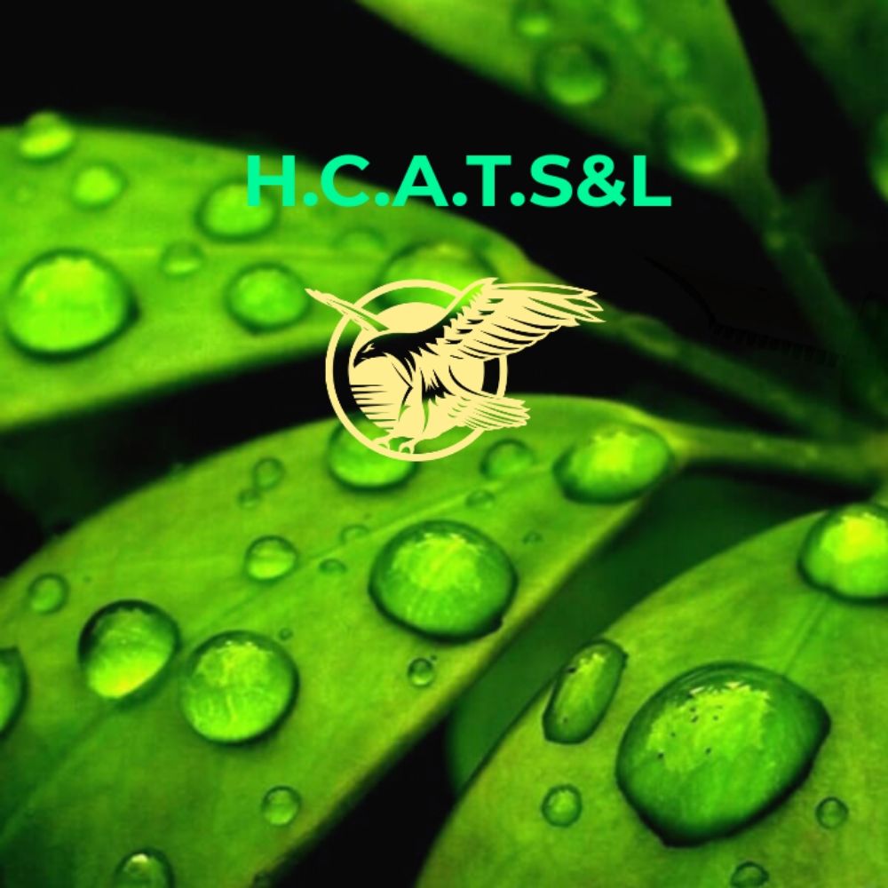 High Climber Affordable Tree Services & Landscaping - tree service in Huntsville, AL