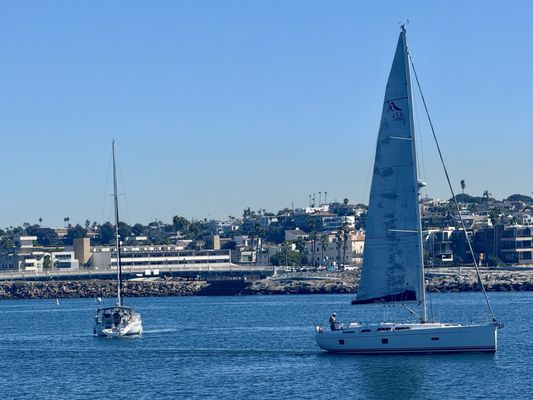 Marina Del Rey Marina by null