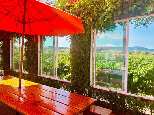 Roche Winery & Vineyards by null