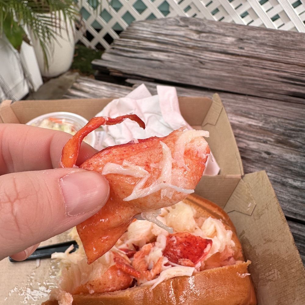 Look at this lobster meat! Huge! Look at this lobster meat! Huge!