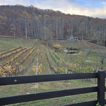 The Vineyard at High Holly - View - Venues & Event Spaces Near Me - Scaly Mountain, North Carolina The Vineyard at High Holly - View - Venues & Event Spaces Near Me - Scaly Mountain, North Carolina