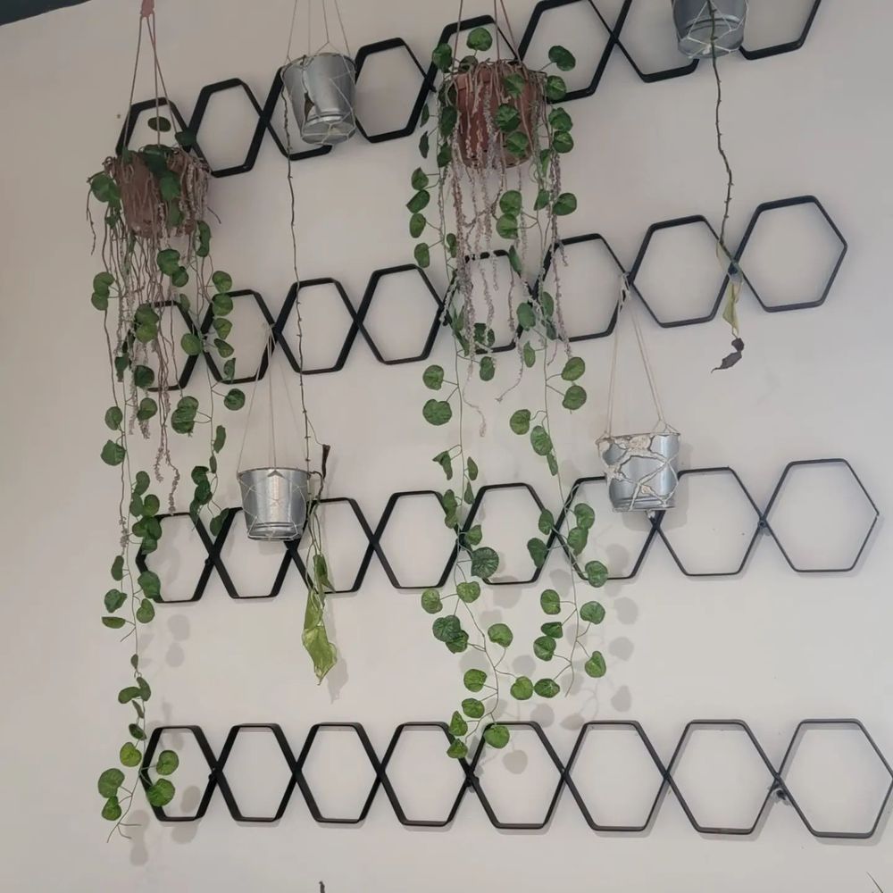 grulla cafe - Coffee & Tea Near Me - Tijuana, BCN