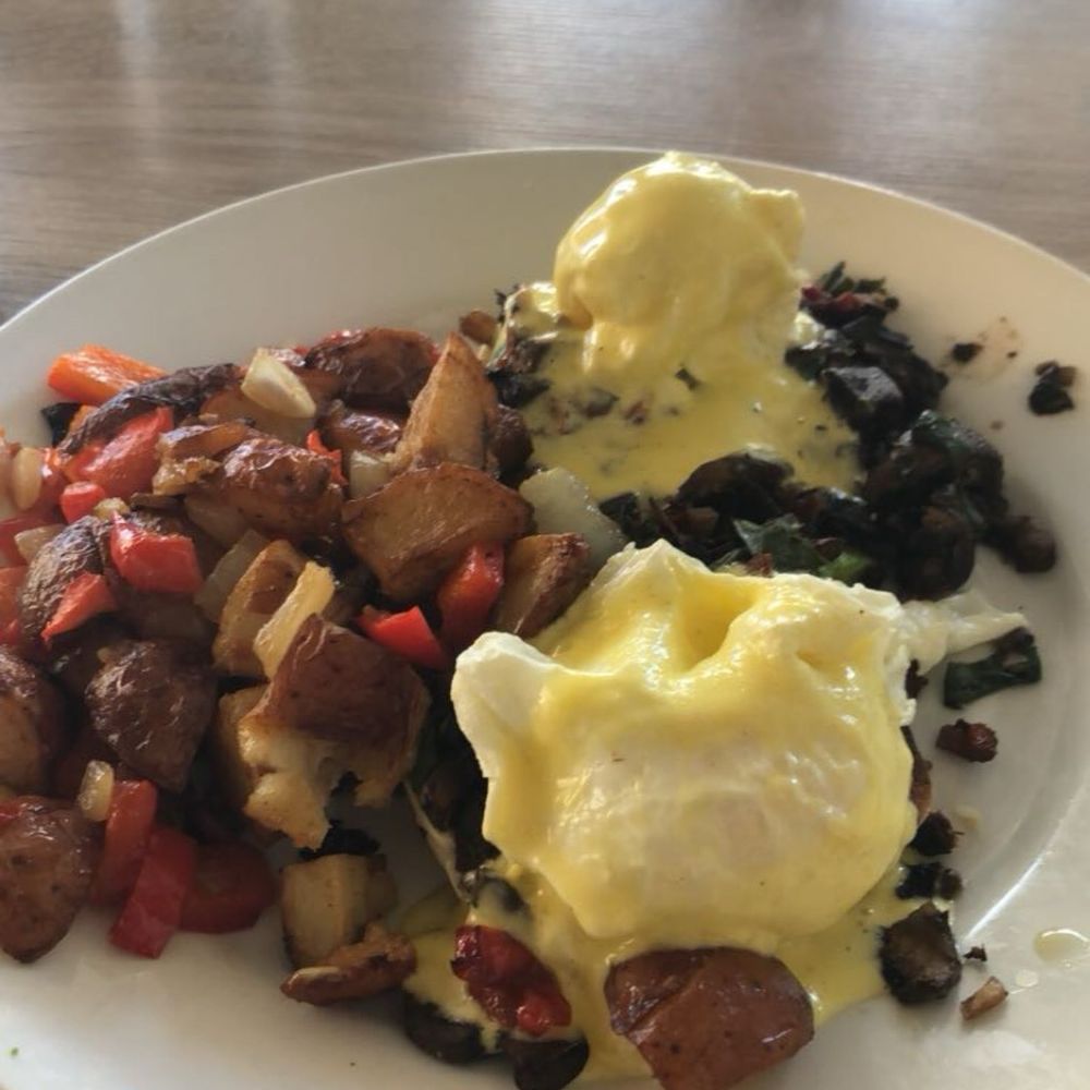 Shorehouse Kitchen - Coffee & Tea Near Me - La Jolla, California Shorehouse Kitchen - Coffee & Tea Near Me - La Jolla, California