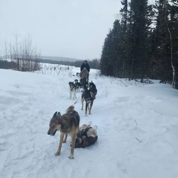 Borealis Basecamp - Hotels Near Me - Fairbanks, Alaska
