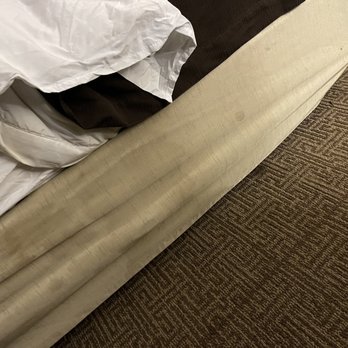 Comfort Inn & Suites - More stains - Hotels Near Me - Thomson, Georgia