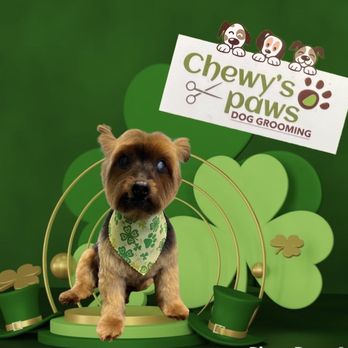 Chewy’s Paws Dog Grooming - Fresh groom. Thanks Tanya!! - Pet Groomers Near Me - Delray Beach, Florida Chewy’s Paws Dog Grooming - Fresh groom. Thanks Tanya!! - Pet Groomers Near Me - Delray Beach, Florida
