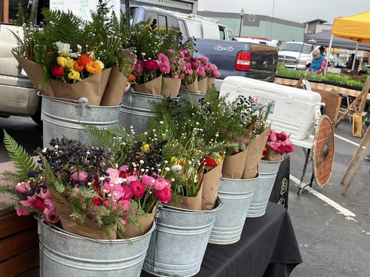 Arcata Plaza Farmers' Market by null