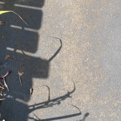 Abc-lers - Driveway one year later